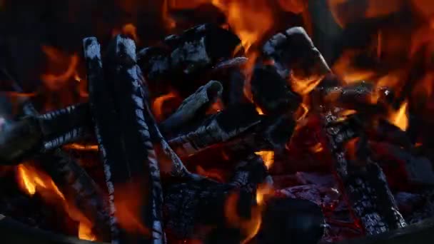 Blaze ognisko drewno ogień płomień wieże w kominku - Materiał filmowy, wideo