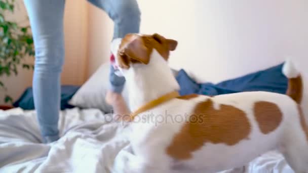 Girl jumping on bed together with dog - Footage, Video