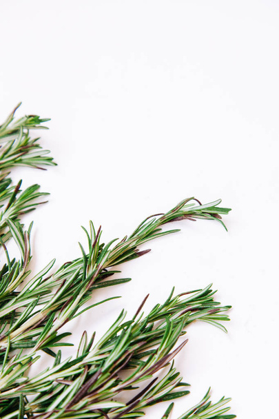 Young rosemary sprigs isolated on white background. Open space for your text. - Foto, imagen