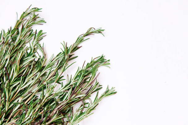 Young rosemary sprigs isolated on white background. Open space for your text. - Foto, immagini