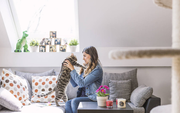 Donna sul divano che gioca con il suo gatto in salotto
 - Foto, immagini
