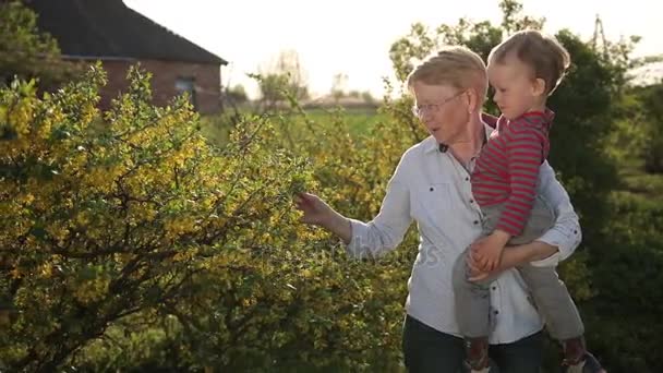 Abuela y niño pequeño caminando en el jardín de primavera
 - Metraje, vídeo