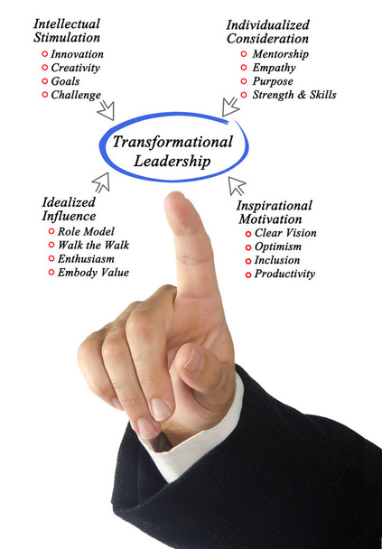 Diagram transformační vedení - Fotografie, Obrázek