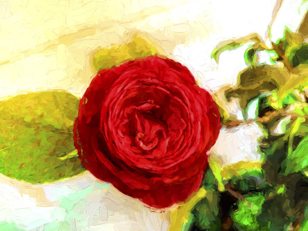 Цифровий живопис червоної троянди
 - Фото, зображення