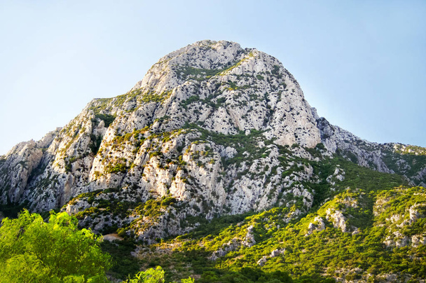 Montañas con olivares. Paisaje en Túnez
. - Foto, imagen