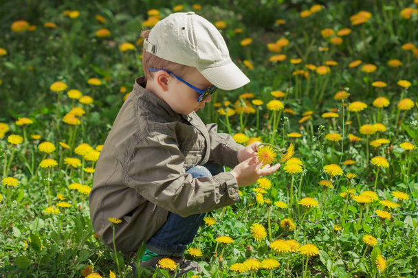 Child on green grass lawn with dandelion flowers on sunny summer day. Kid playing in garden. - Фото, изображение