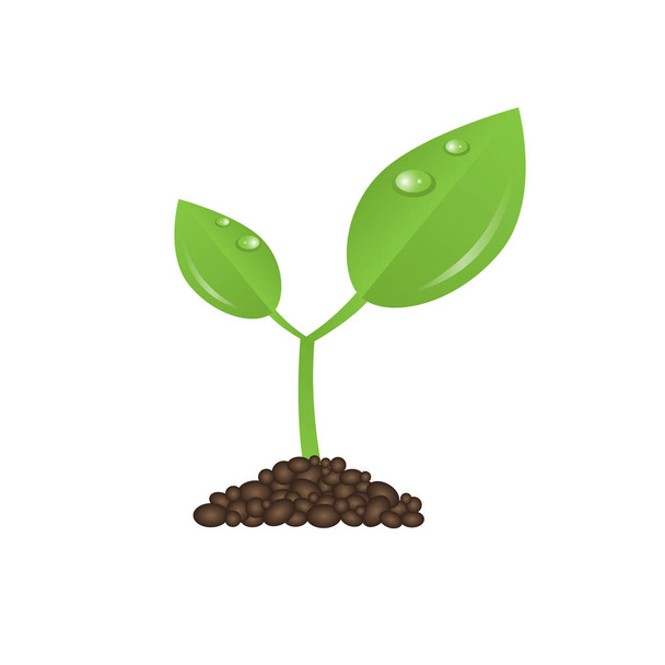 zelená ilustrace rostliny - Vektor, obrázek