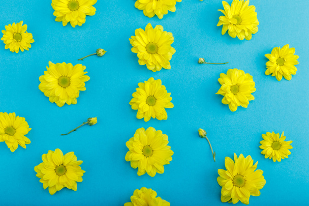 Beautiful yellow flowers - Фото, зображення
