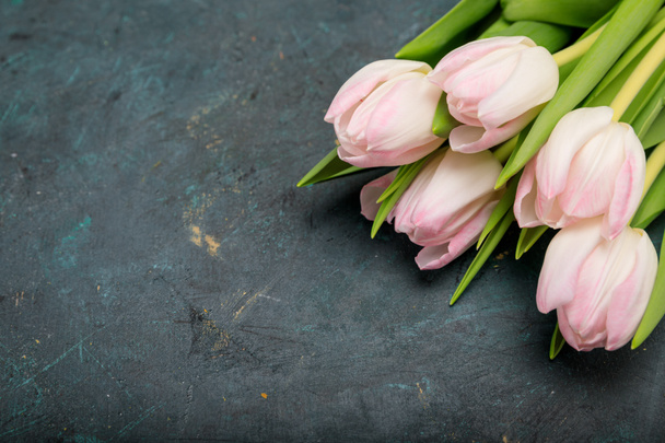 Beautiful tender tulips - Photo, Image