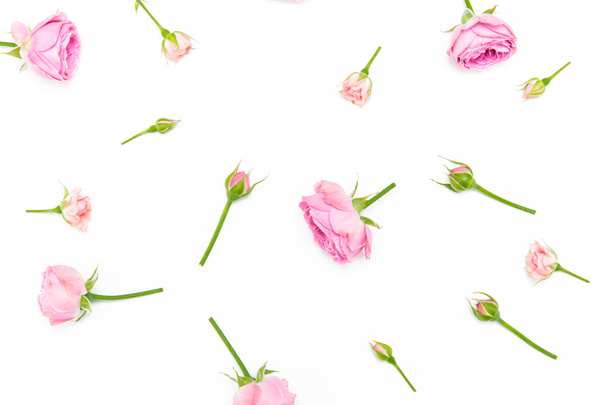 Hermosas rosas rosadas
 - Foto, imagen