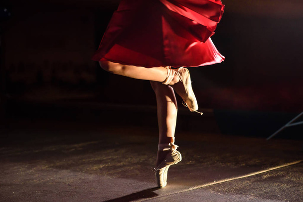 The ballerina shows legs and pointes. - Fotografie, Obrázek