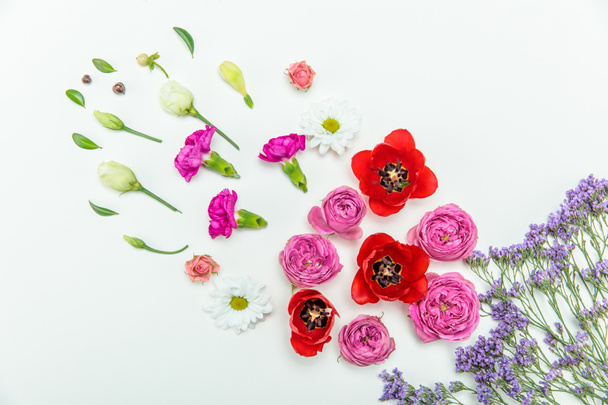 Beautiful blooming flowers - Photo, Image