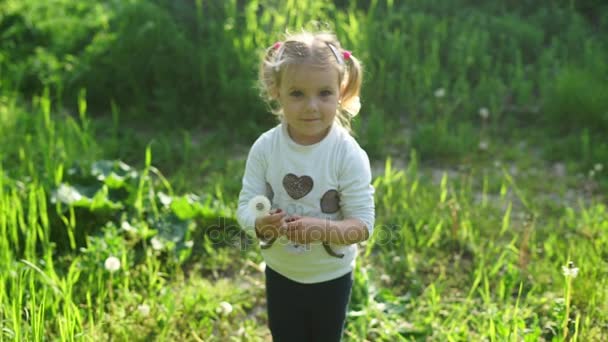 malá dívka dává Pampeliška květin nám - Záběry, video