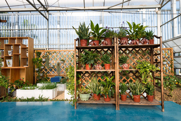 An new greenhouse with bedding plants - Photo, Image