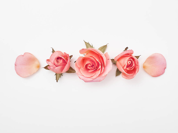 Acostado. Vista superior. Rosas rosadas sobre fondo blanco. Corona de marco
 - Foto, imagen
