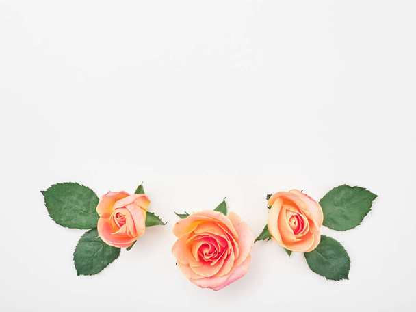 Flat lay. Top view. Pink roses on white background. Frame wreath - Valokuva, kuva