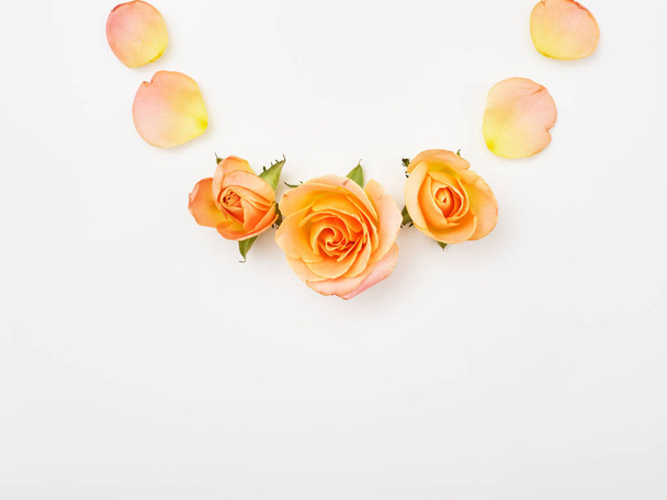 Flat lay. Top view. Orange roses on white background. Frame wreath - 写真・画像