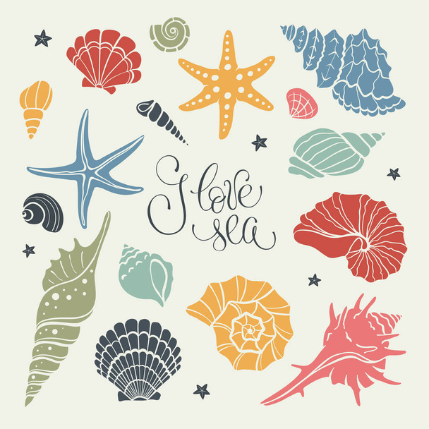 Colección de conchas marinas
 - Vector, imagen