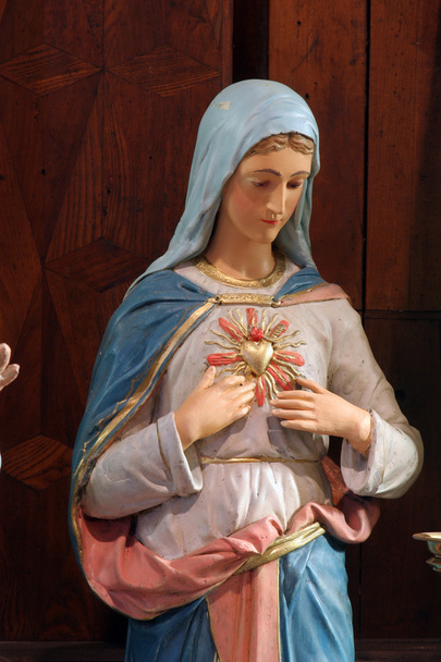 Immaculate Heart of Mary - Photo, Image