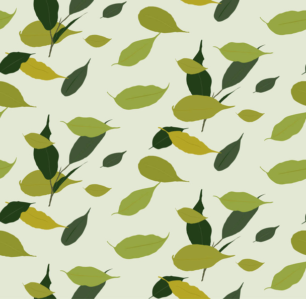 ficus leaves seamless pattern - Vector, Image