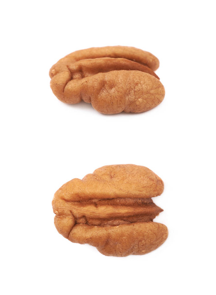 Single pecan nut isolated - Foto, afbeelding