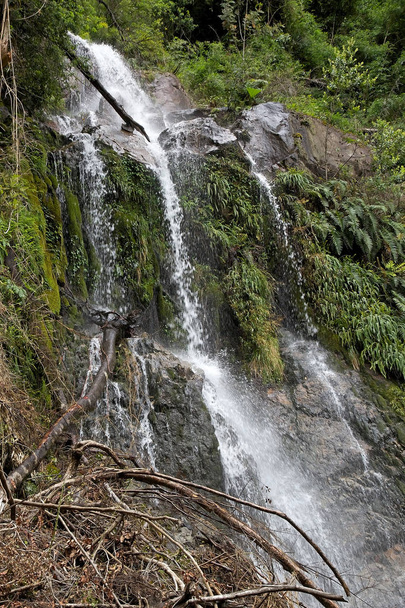 ビセンテ ・ ペレス ロサレス国立公園、チリで滝 - 写真・画像