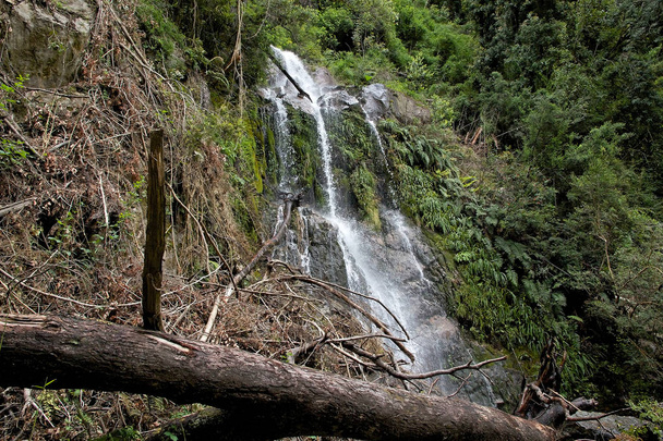 Waterfall at the Vicente Perez Rosales National Park, Chile - Photo, Image