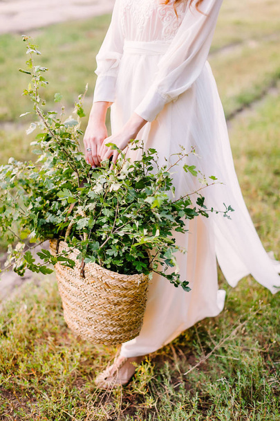 people, holidays and nature concept - young woman in white holding large basket of green branches for decoration, girl florist on the summer field gather herbs for decoration of bouquets and interiors - Foto, immagini