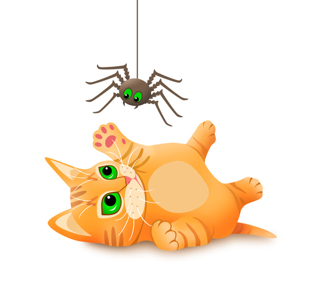 Kätzchen spielt mit Spinne.  - Foto, Bild