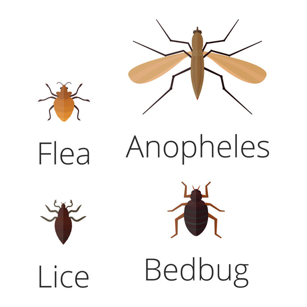 Barevné hmyzu ikony izolované přírodní křídlo detail letní červ housenka chyb divoké vektorové ilustrace. - Vektor, obrázek