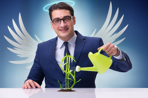 Empresário no conceito de investidor anjo crescendo lucros futuros
 - Foto, Imagem