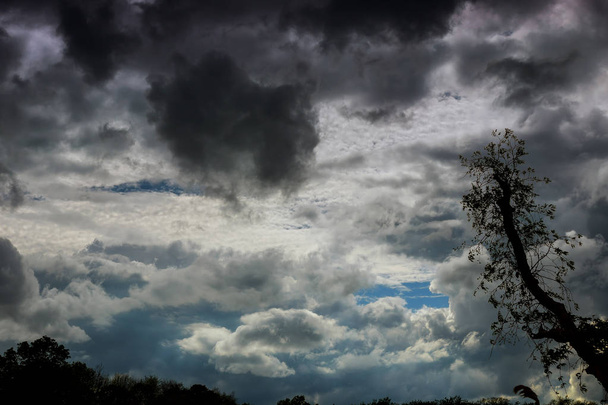 若干竜巻の生成の可能性と雷雲 - 写真・画像