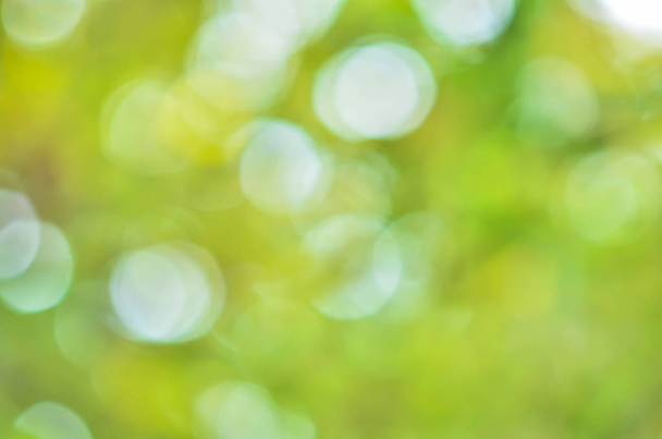 Natural green blurred  - Photo, Image