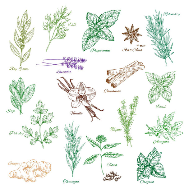 Icone vettoriali condimenti speziati o aromi alle erbe
 - Vettoriali, immagini