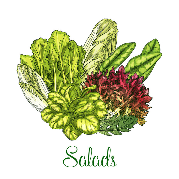 Salads and leafy vegetables vector poster - Vector, Image