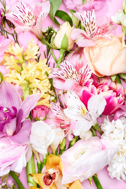 gyönyörű virágzó virágok - Fotó, kép