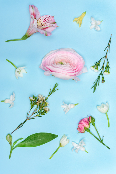 Beautiful blooming flowers - Valokuva, kuva