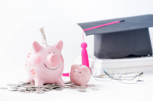 education money savings in a piggybank - Photo, Image