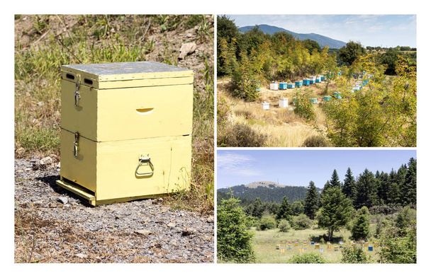 Collage van een bijenteelt in de bergen. - Foto, afbeelding
