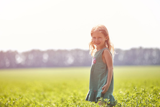 girl in the field at sunny summer morning - Фото, зображення