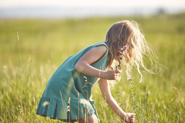 girl in the field at sunny summer morning - Photo, image