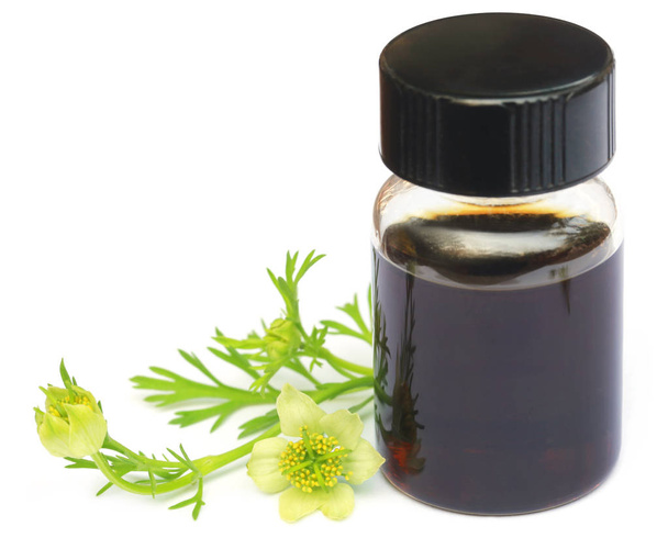 Nigella flor e óleo essencial em uma garrafa de vidro
 - Foto, Imagem
