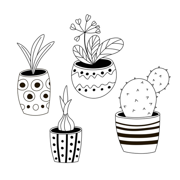 Set of four colorless potted plants in a hand-drawn style. - Вектор, зображення