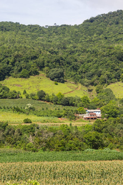 Granja, casa y plantación
 - Foto, Imagen
