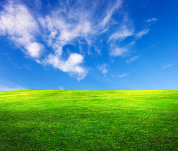 nurmikenttä ja sininen taivas - Valokuva, kuva