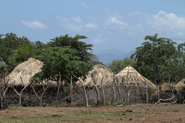 Cabañas de paja tradicionales en el Valle del Omo de Etiopía
 - Foto, Imagen