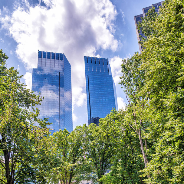 Manhattan Buildings from Central park - Fotografie, Obrázek