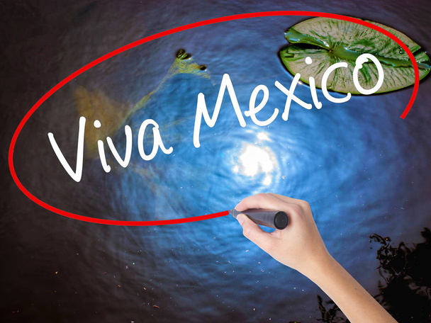 Kadın el yazma Viva Meksika üzerinde şeffaf domuzu marker ile - Fotoğraf, Görsel