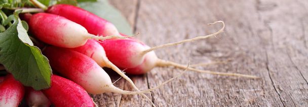 Bunch of red garden radishes - Photo, Image