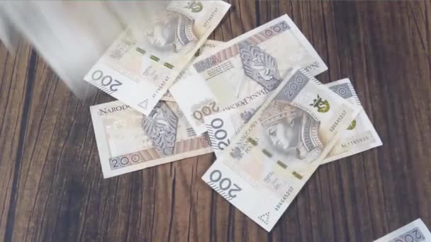  Polish PLN Zloty. Spreading banknotes - Footage, Video